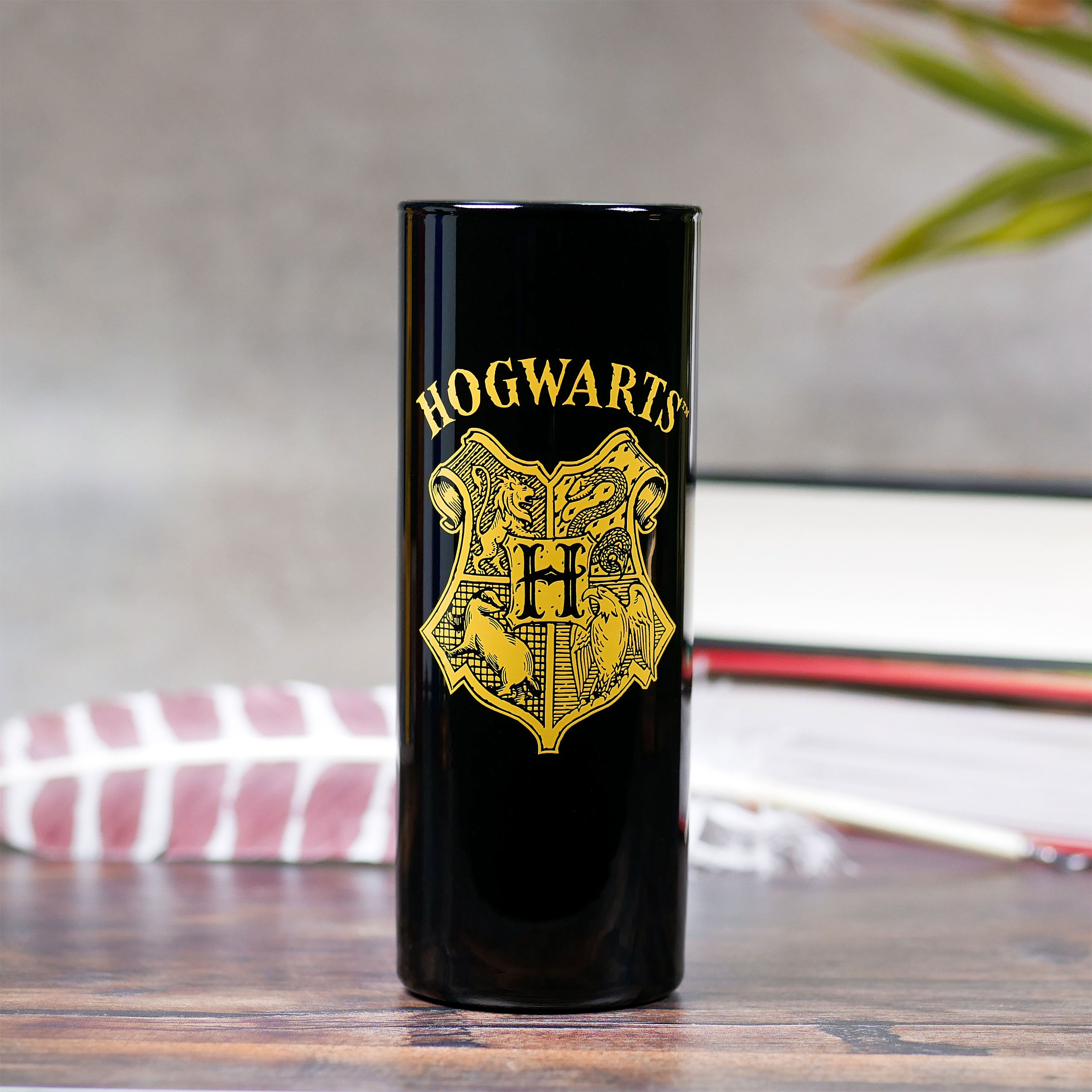 Immagine del prodotto Set di bicchieri delle Case di Hogwarts a 5 pezzi - Harry Potter