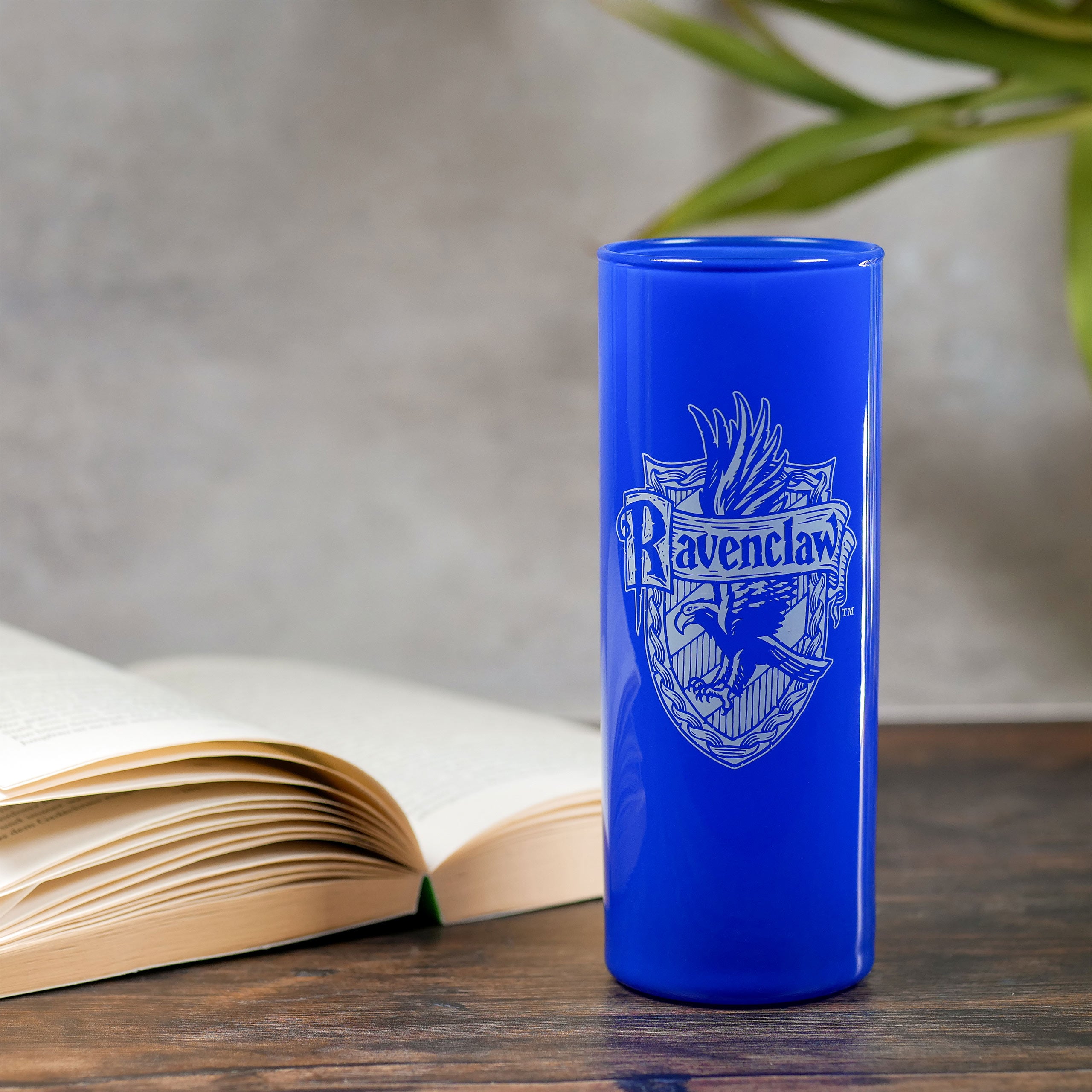 Immagine del prodotto Set di bicchieri delle Case di Hogwarts a 5 pezzi - Harry Potter