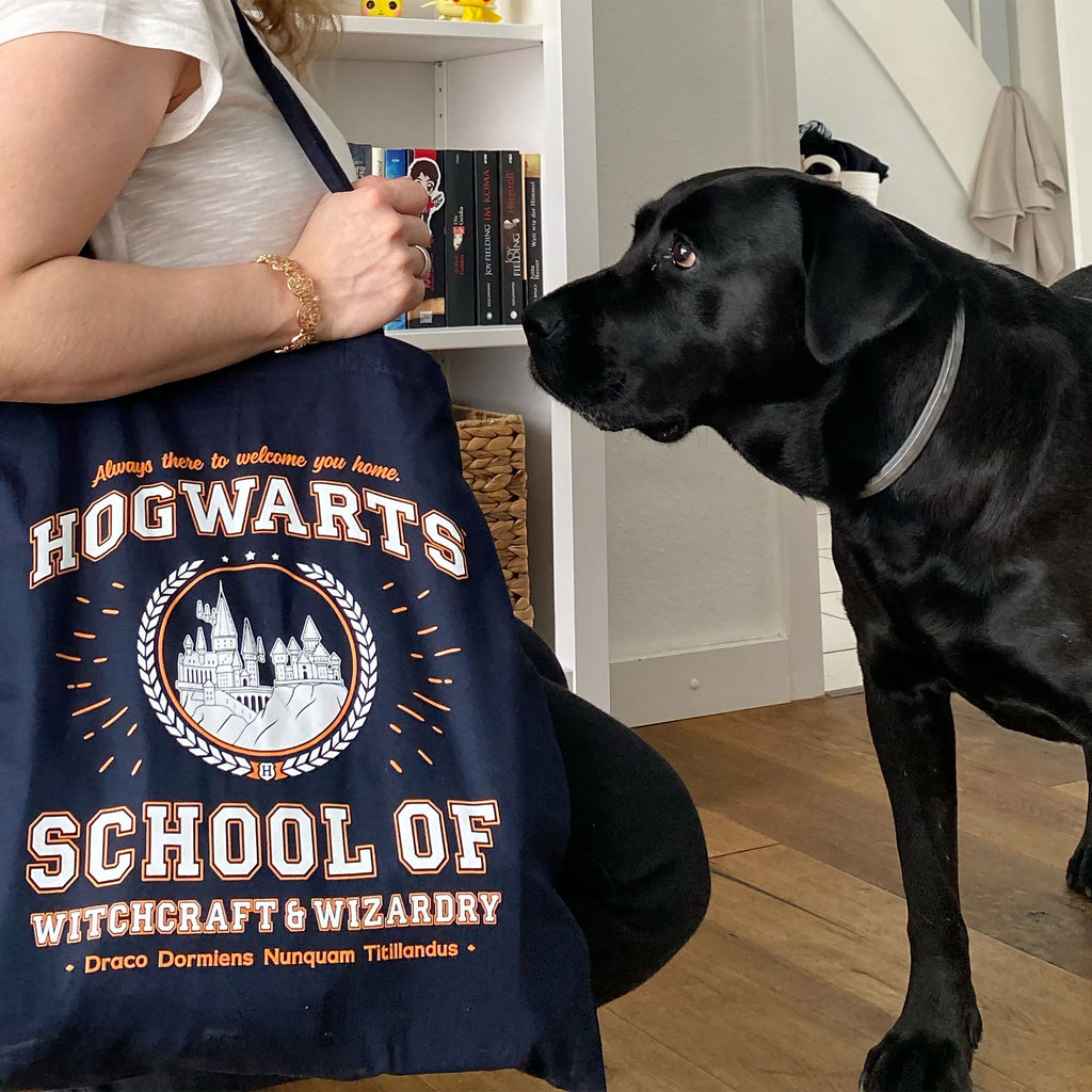 Produktbild Hogwarts School Jutebeutel blau - Harry Potter
