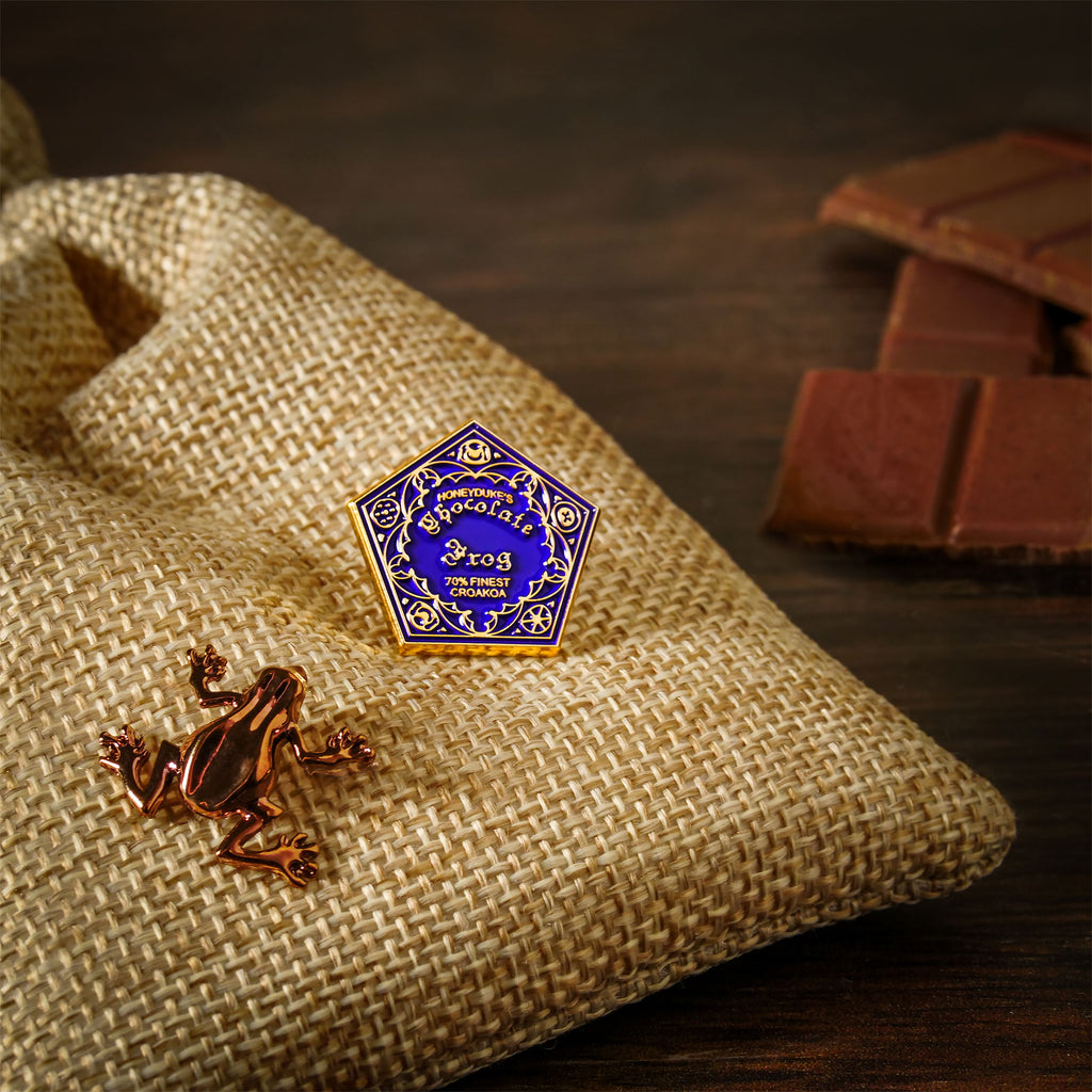 Produktbild Harry Potter - Schokofrosch Pin 2er Set