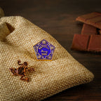 Produktbild Harry Potter - Schokofrosch Pin 2er Set