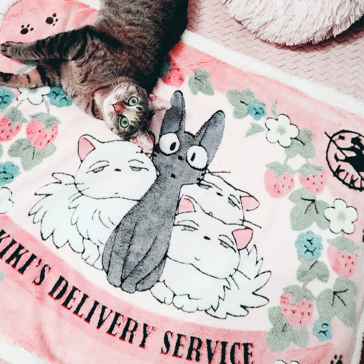 Image produit Le service de livraison de Kiki - Couverture Jiji