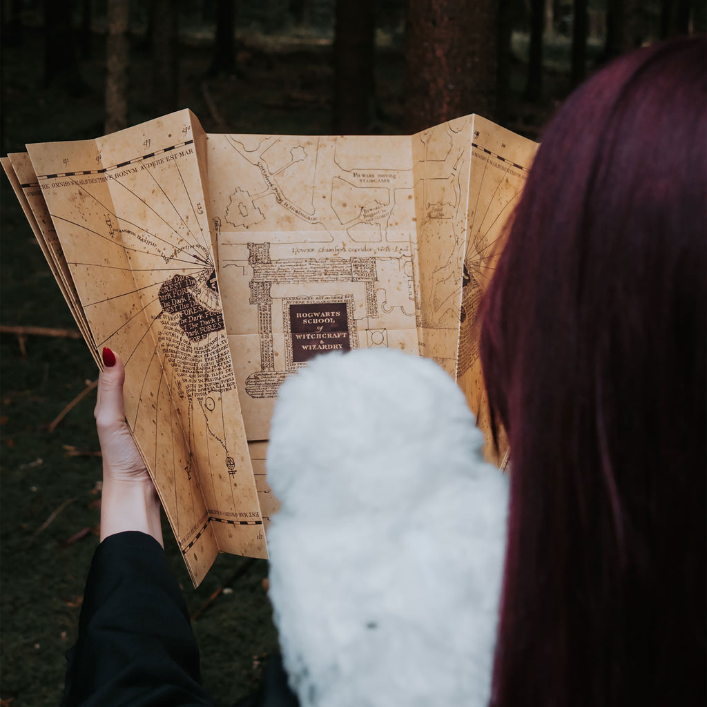 Produktbild Karte des Rumtreibers - Harry Potter