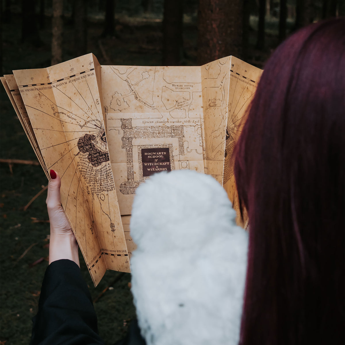 Produktbild Karte des Rumtreibers - Harry Potter