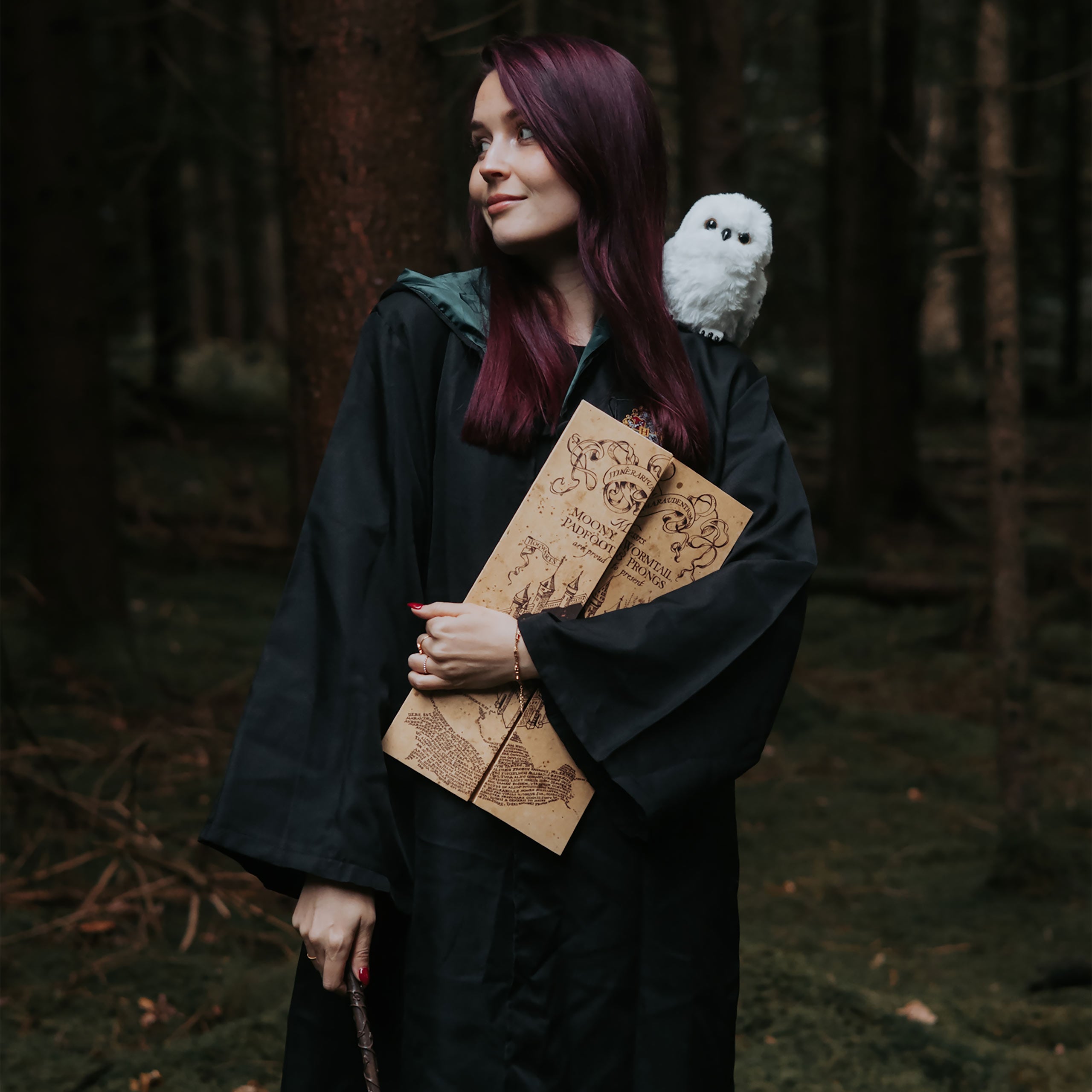 Produktbild Karte des Rumtreibers - Harry Potter