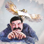 Produktbild Harry Potter und der Orden des Phönix - Illustrierte Schmuckausgabe