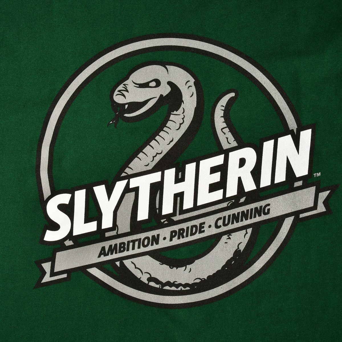 Produktbild Slytherin House Values T-Shirt grün - Harry Potter