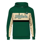 Produktbild Harry Potter - Team Slytherin Block Hoodie