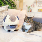 Image produit Avatar : le dernier maître de l'air - Peluche Appa 46 cm