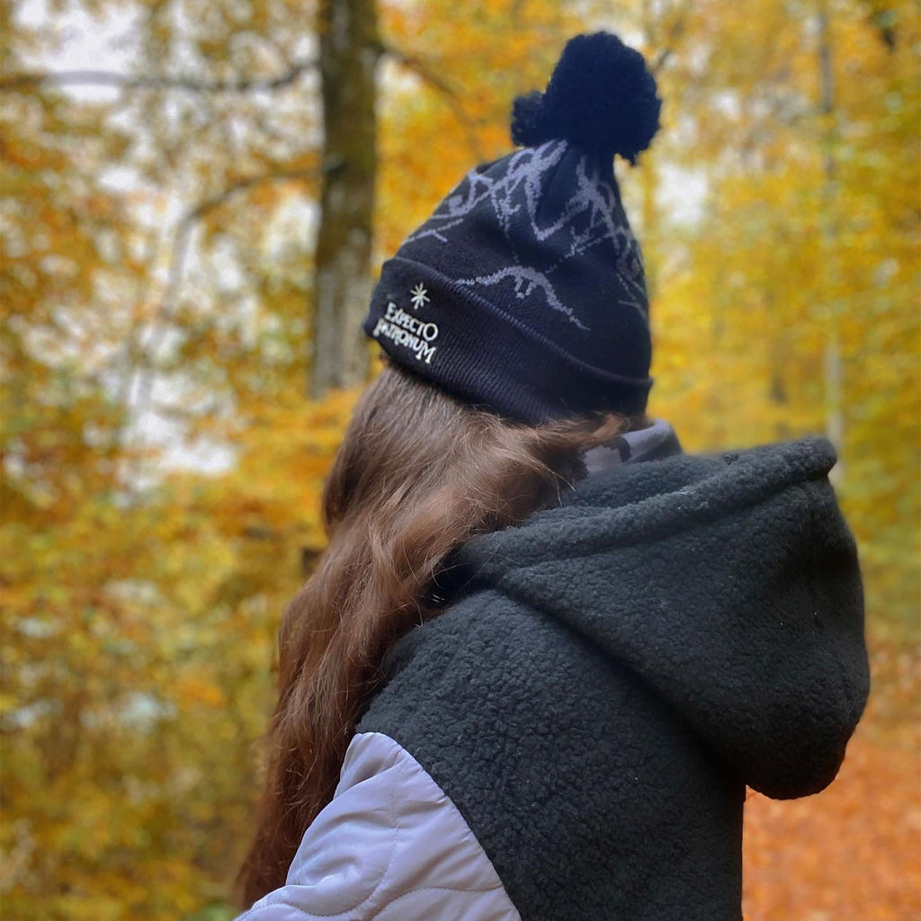 Immagine del prodotto Harry Potter - Cappello Expecto Patronum con pompon nero