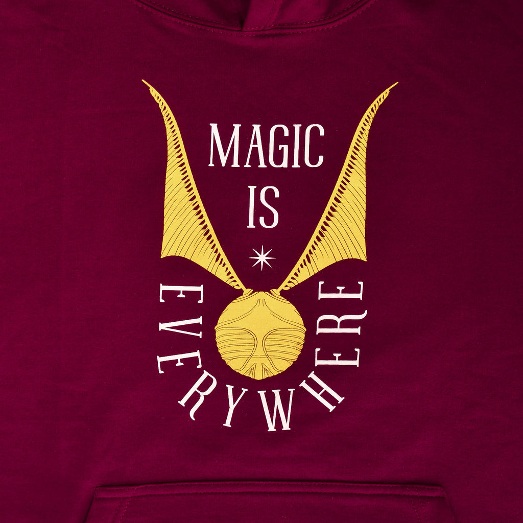 Image produit Harry Potter - Sweat à capuche Vif d'or rouge