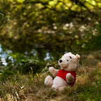 Product image Winnie the Pooh - Collector's Figure by Steiff