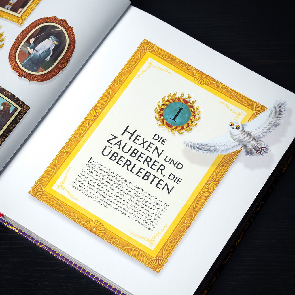 Immagine del prodotto Il mondo magico di Harry Potter - Il manuale ufficiale