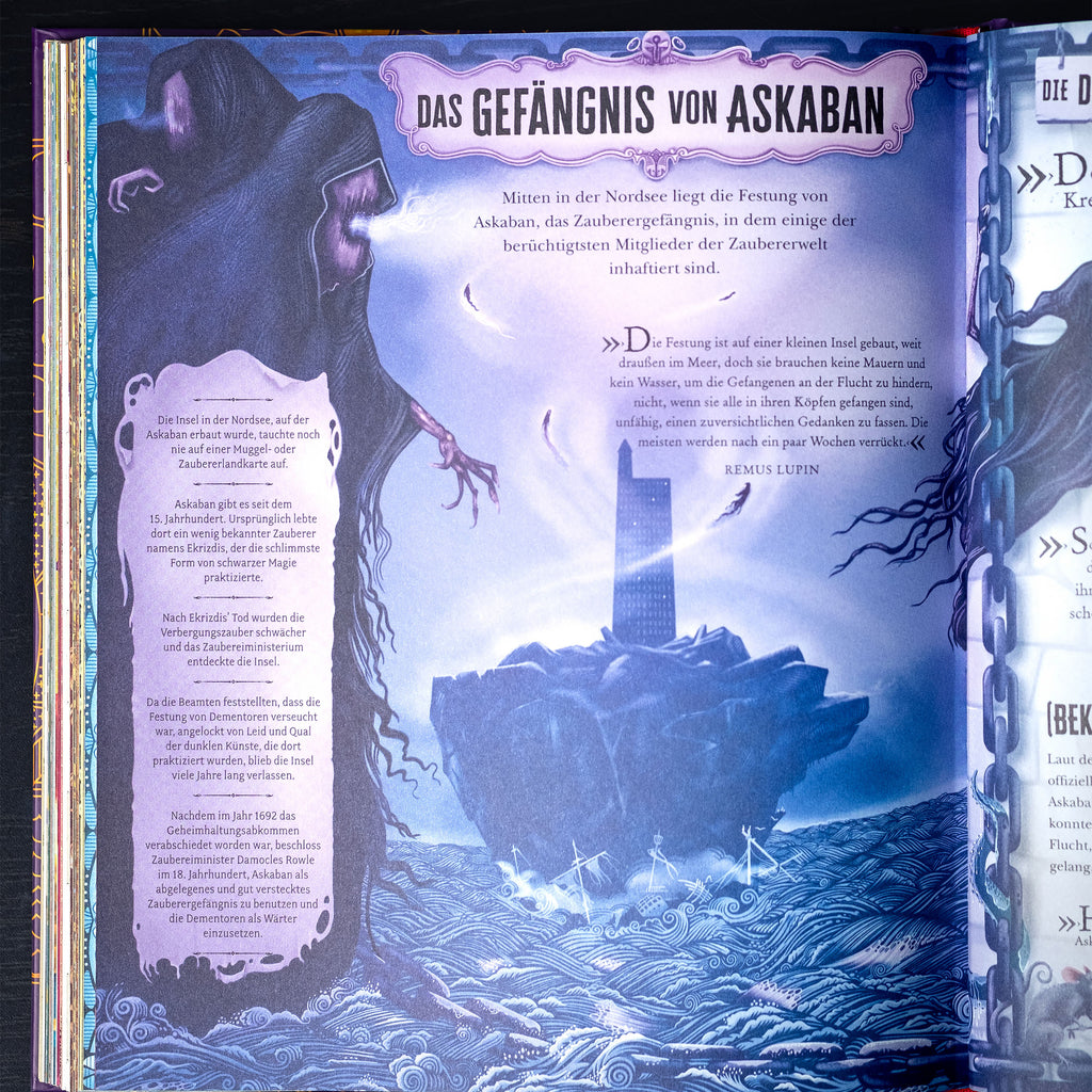 Immagine del prodotto Il mondo magico di Harry Potter - Il manuale ufficiale