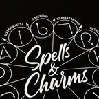 Immagine del prodotto Harry Potter - Incantesimi e magie T-shirt nera