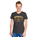 Image produit Harry Potter - T-shirt gris avec blason de Poudlard