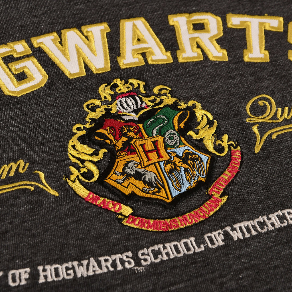 Image produit Harry Potter - T-shirt gris avec blason de Poudlard