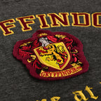 Produktbild Harry Potter - Gryffindor Wappen Premium Hoodie grau