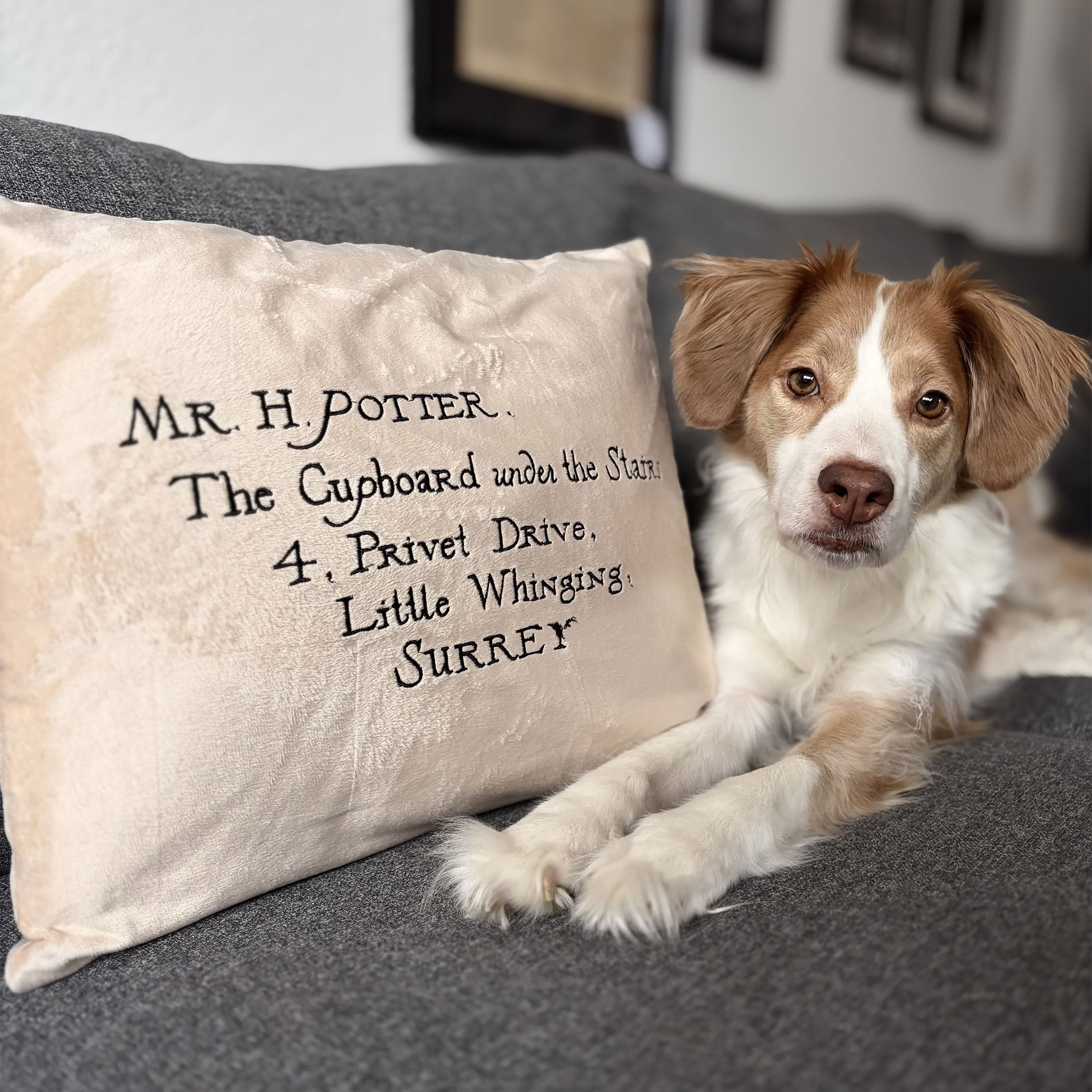 Image produit Harry Potter - Coussin Lettre de Poudlard