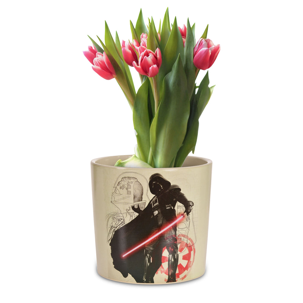 Image produit Star Wars - Pot de fleurs Darth Vader