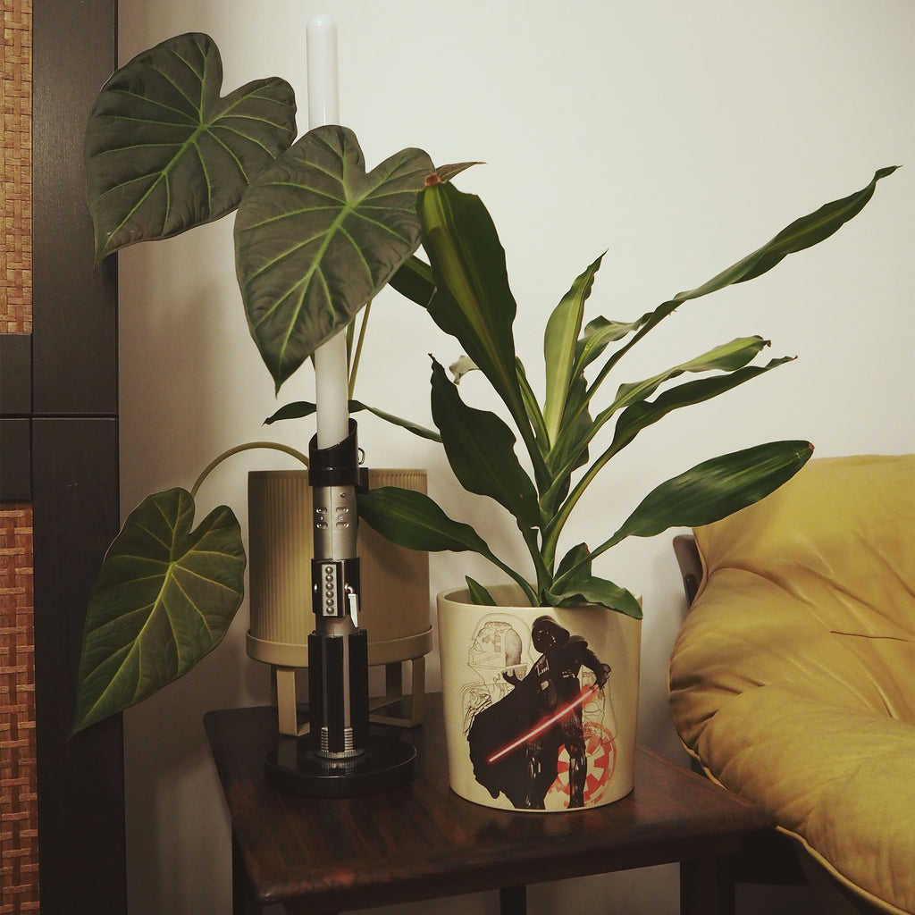 Image produit Star Wars - Pot de fleurs Darth Vader