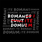 Produktbild Romani Ite Domum T-Shirt für Monty Python Fans