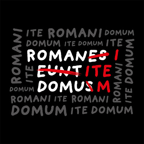 Image produit T-shirt Romani Ite Domum pour les fans de Monty Python