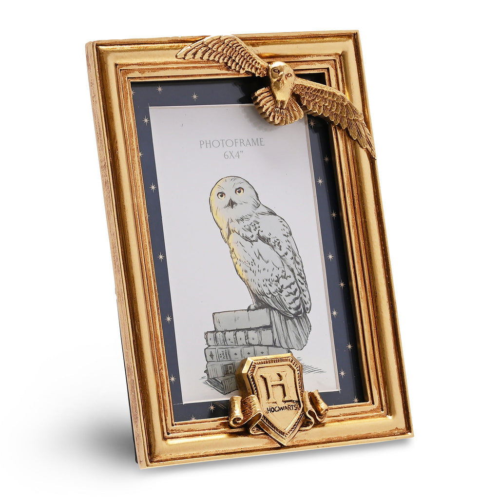 Image produit Harry Potter - Cadre photo Hedwige