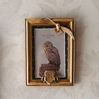 Image produit Harry Potter - Cadre photo Hedwige