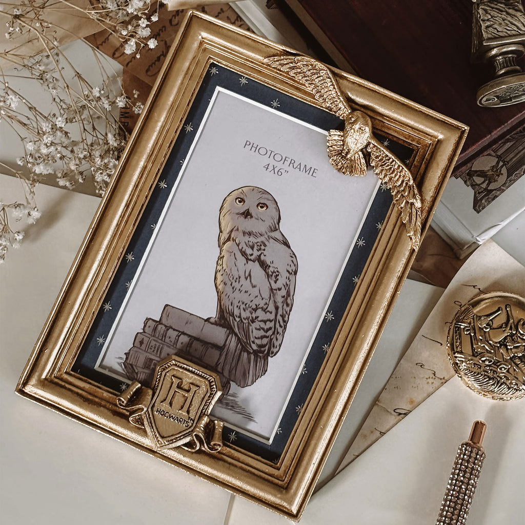 Image produit Harry Potter - Cadre photo Hedwige