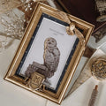Image produit Harry Potter - Cadre photo Hedwige