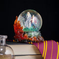 Produktbild Harry Potter mit Dumbledore Schneekugel