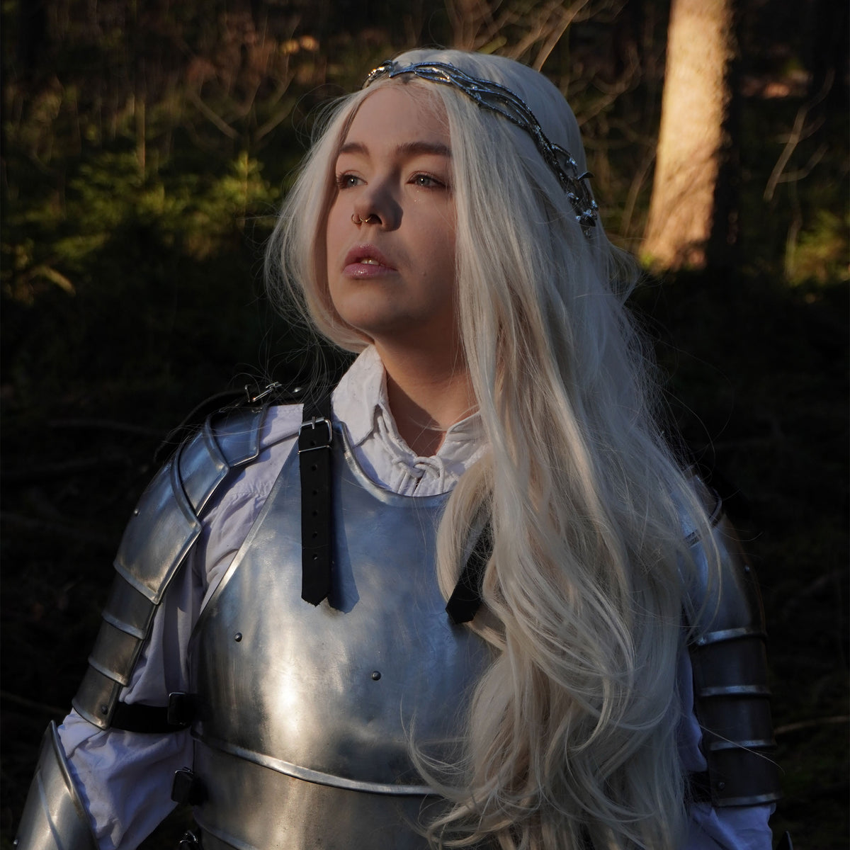 Immagine del prodotto Diadema di Galadriel - Il Signore degli Anelli