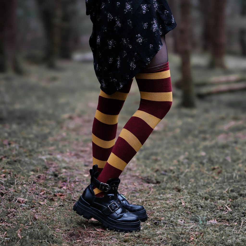 Image produit Harry Potter - Chaussettes hautes Gryffondor (lot de 2)