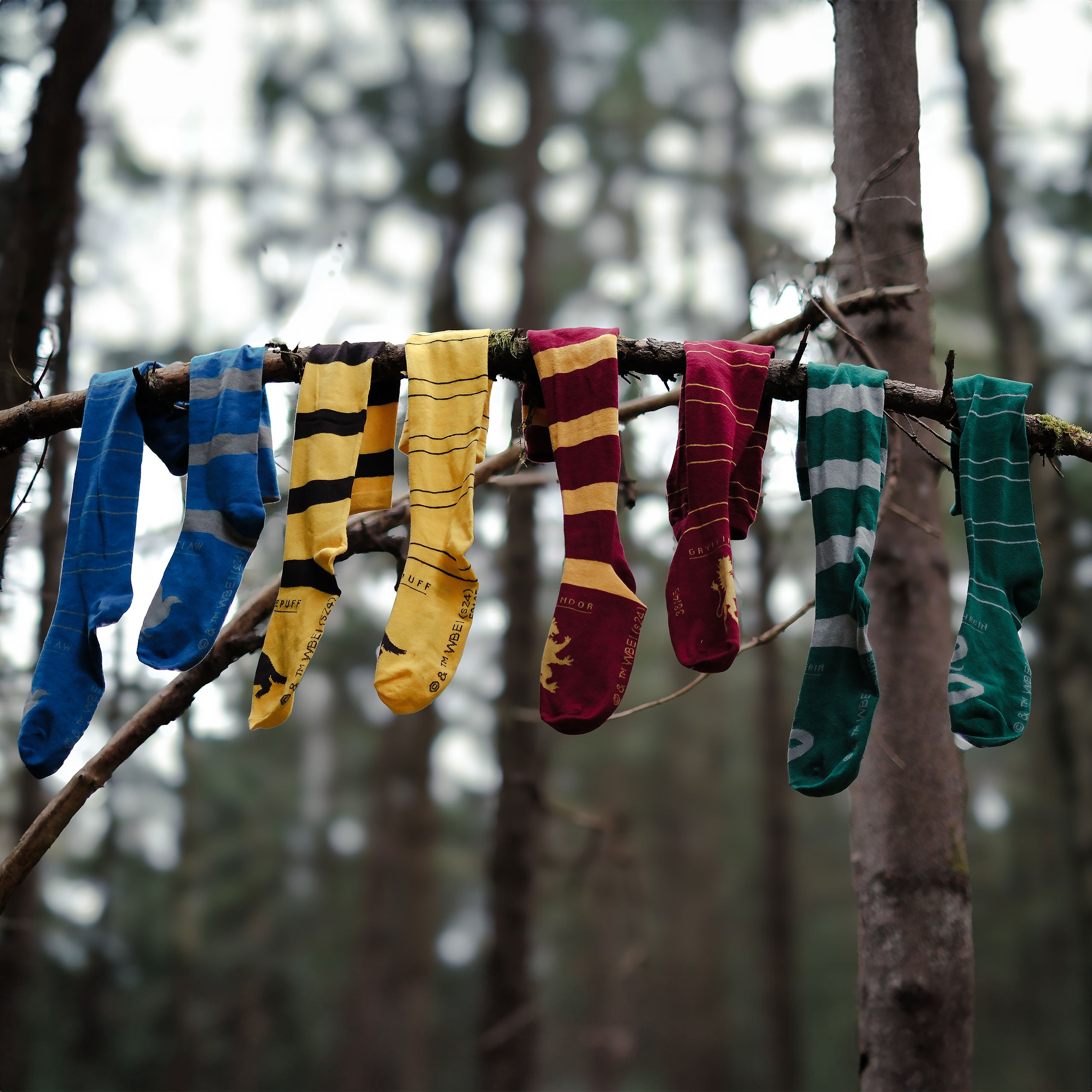 Image produit Harry Potter - Chaussettes hautes Gryffondor (lot de 2)