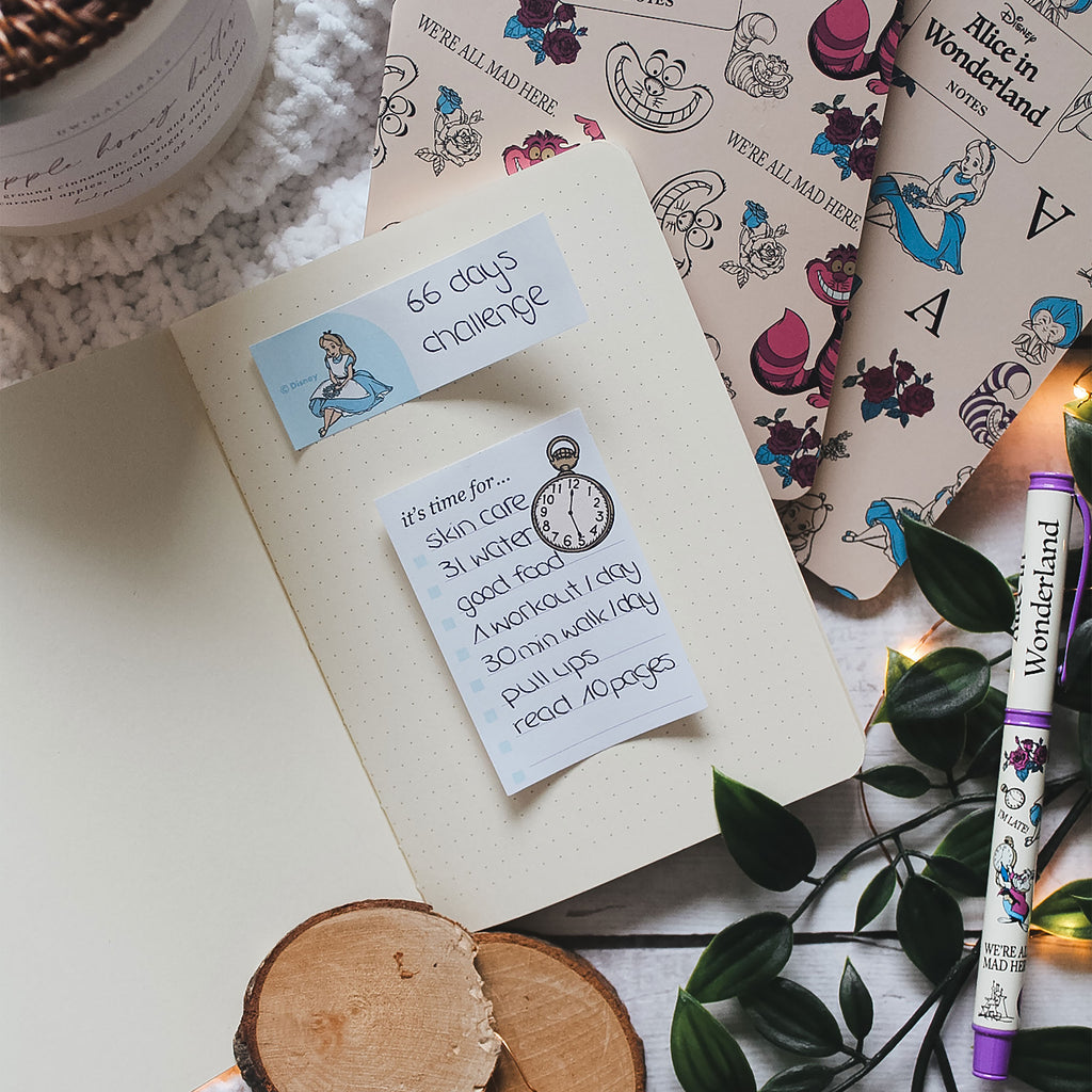 Produktbild Alice im Wunderland - Notizbücher 3er Set