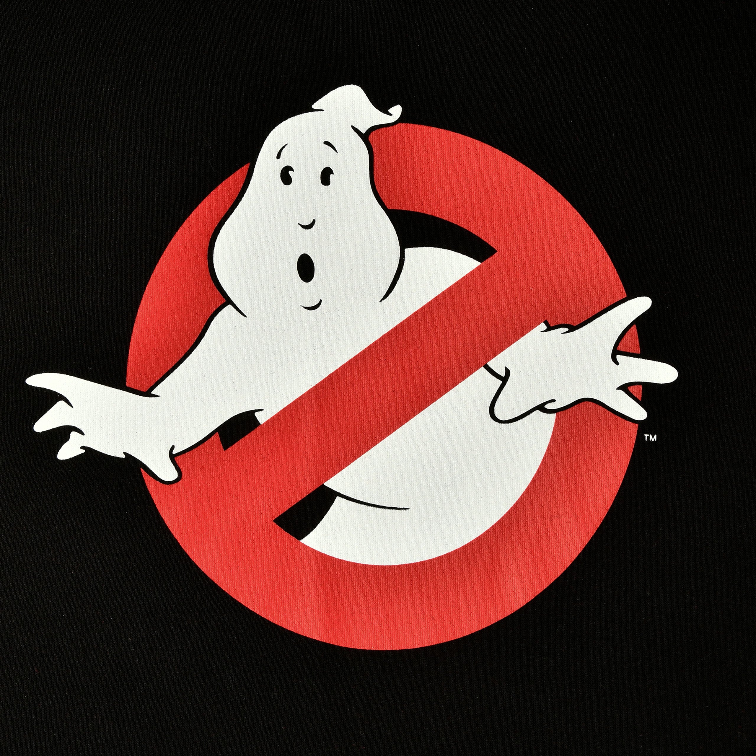 Immagine del prodotto Ghostbusters - Felpa con Cappuccio 'Ain't Afraid of No Ghost'