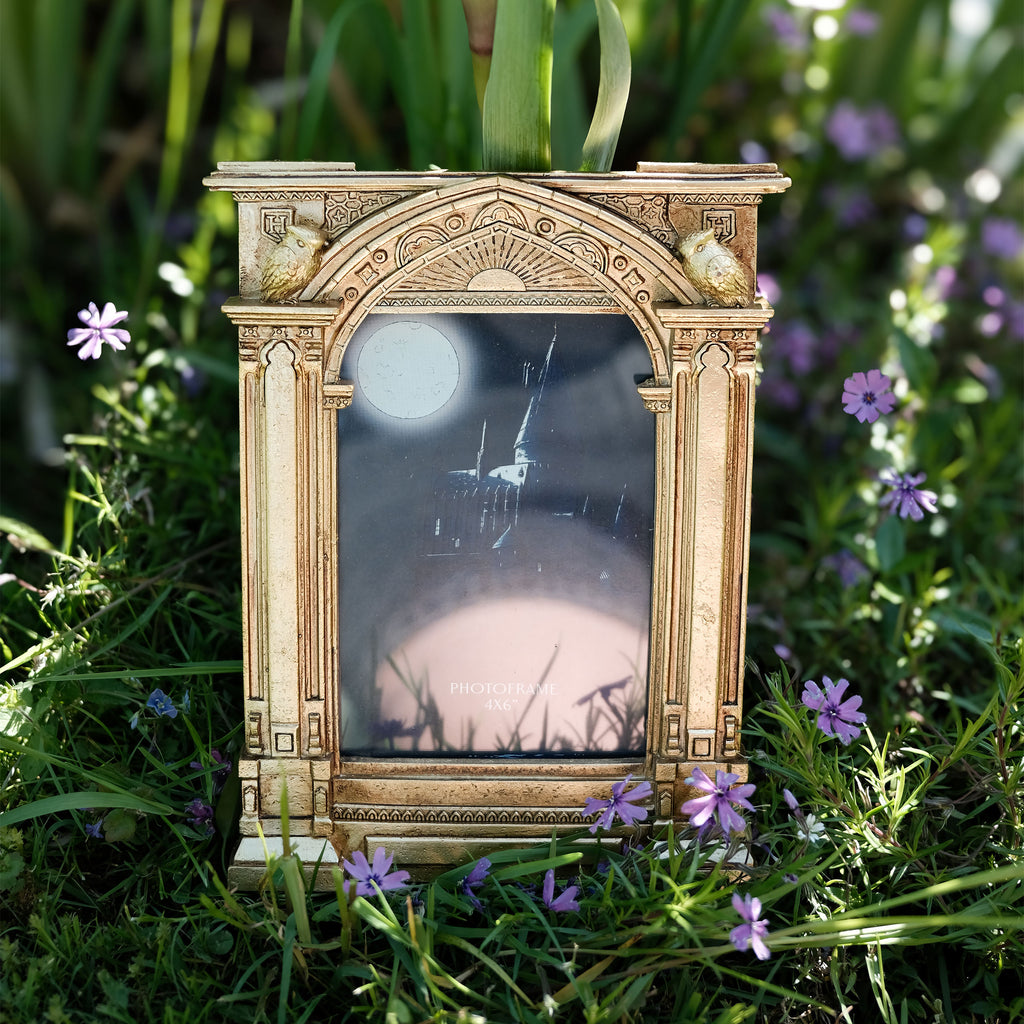 Image produit Harry Potter - Cadre photo miroir Poudlard