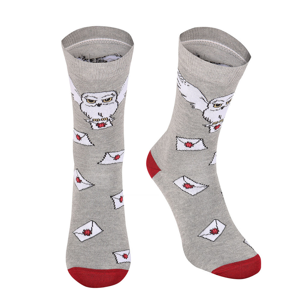 Produktbild Harry Potter - Hogwarts Brief Socken