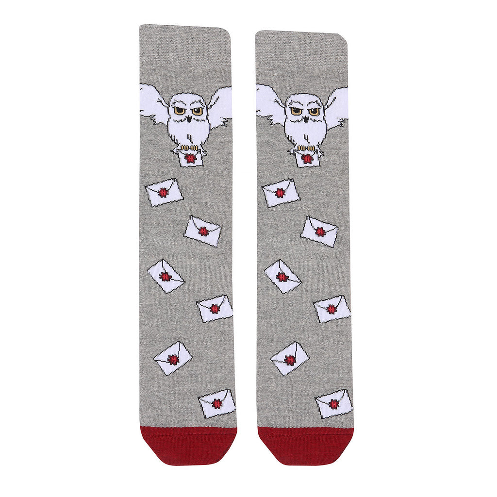 Produktbild Harry Potter - Hogwarts Brief Socken