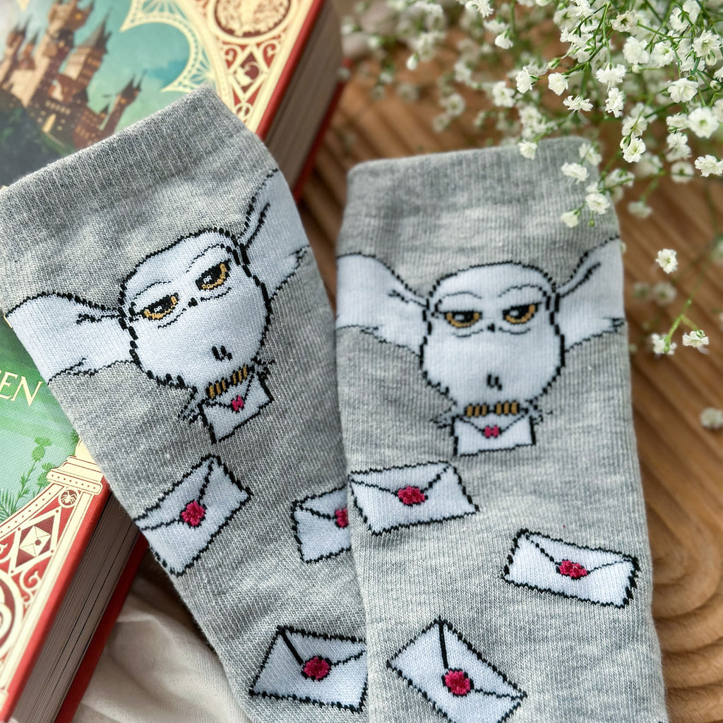 Produktbild Harry Potter - Hogwarts Brief Socken