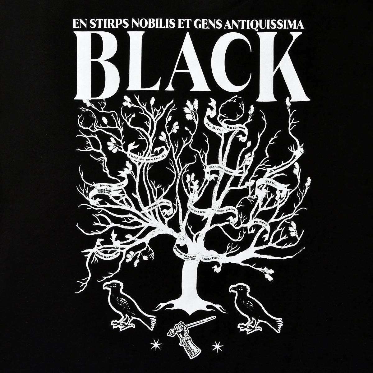 Image produit Harry Potter - T-shirt House of Black noir