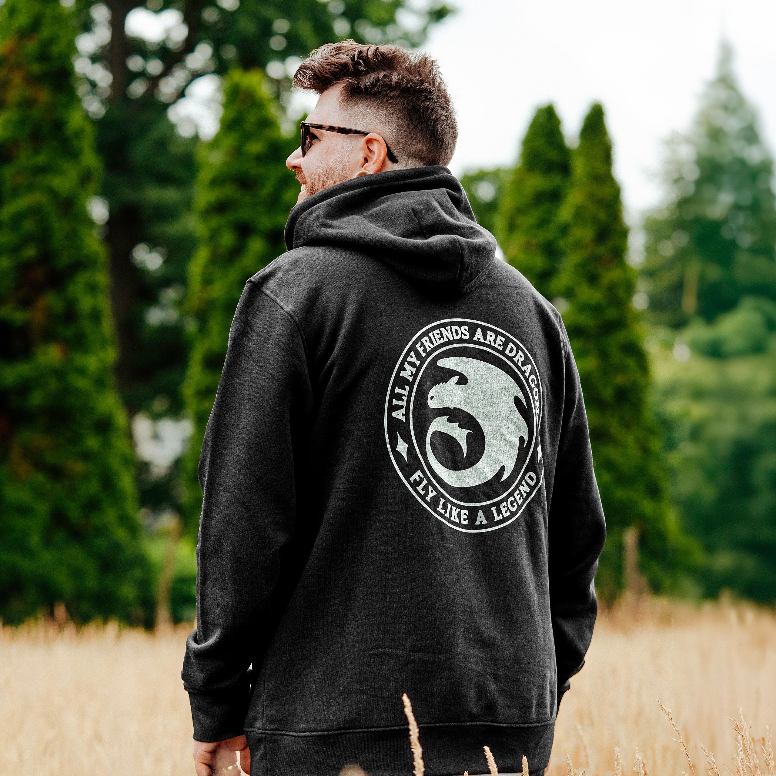 Produktbild Drachenzähmen leicht gemacht - Night Fury Legend Hoodie schwarz