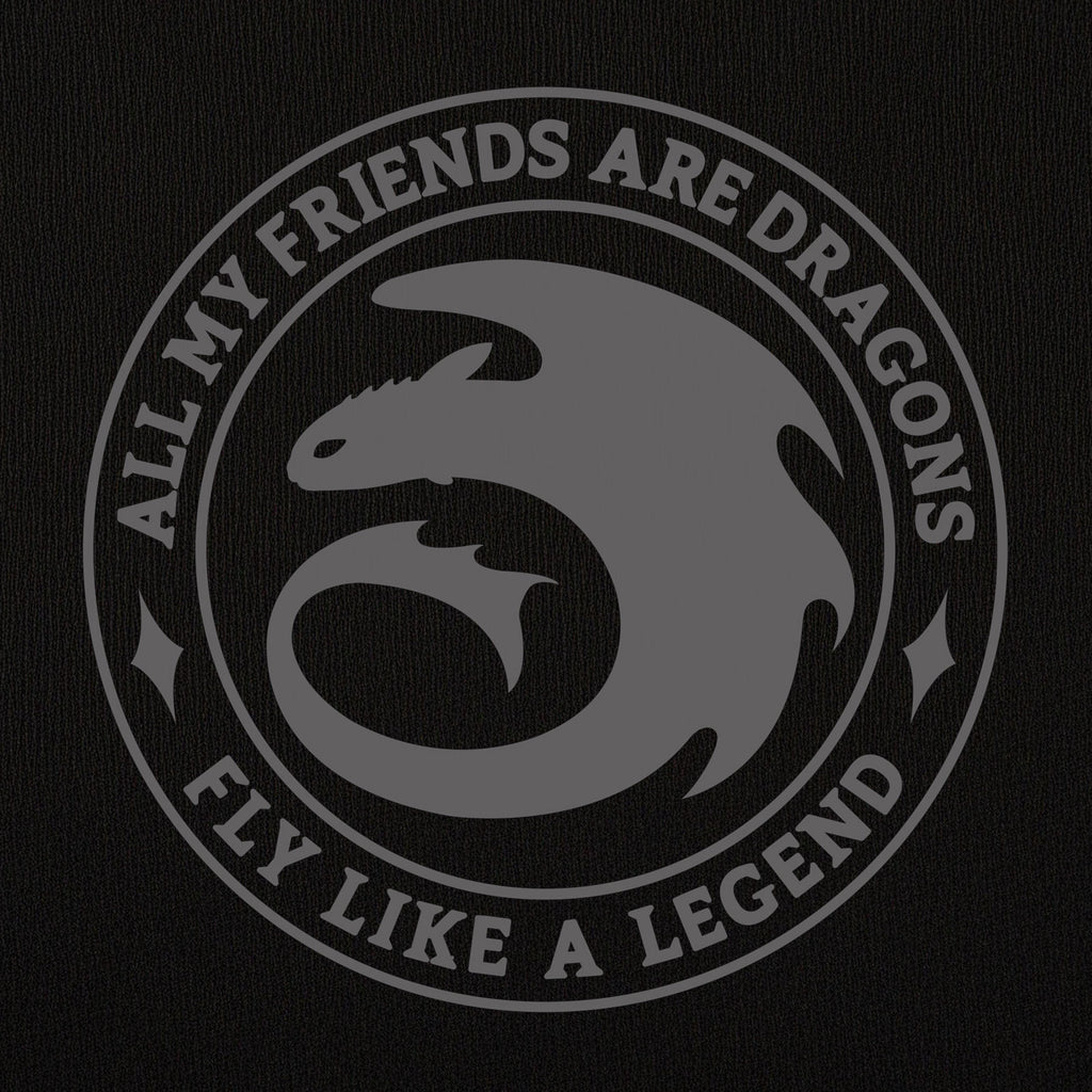 Image produit Dragons - Sweat à capuche Night Fury Legend noir