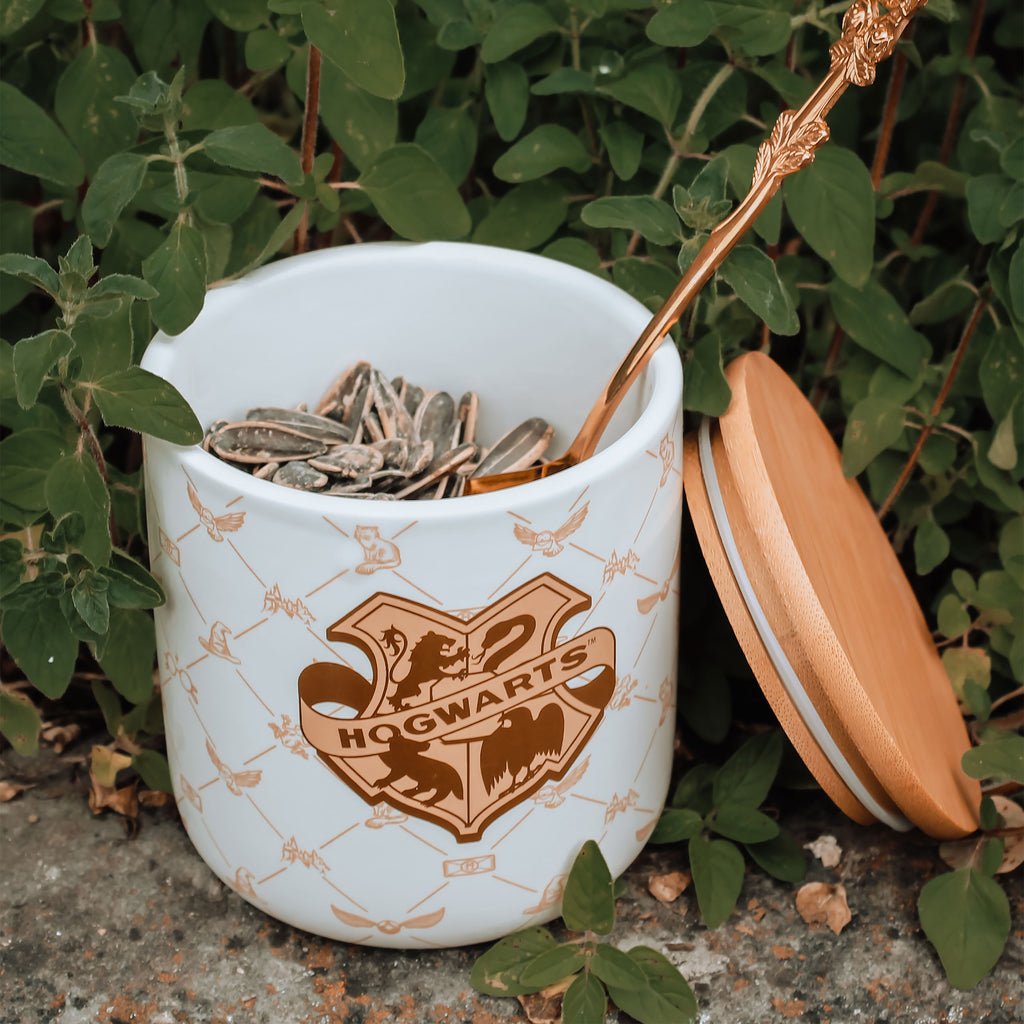 Immagine del prodotto Harry Potter - Barattolo Hogwarts Collezione Serene