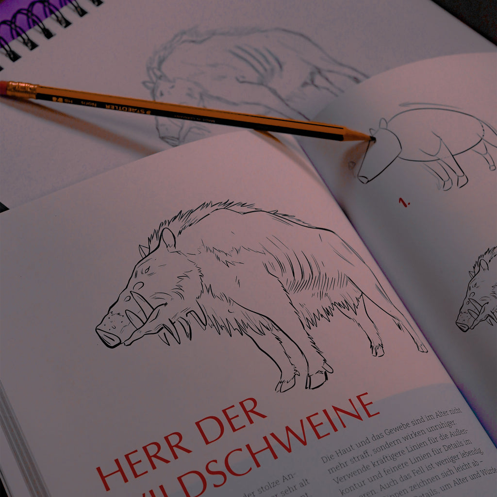 Image produit Le livre de dessin Ghibli non officiel