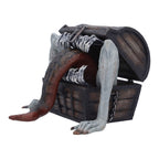 Image produit Dark Souls - Boîte Mimic