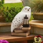 Immagine del prodotto Lampada solare 3D Edvige - Harry Potter