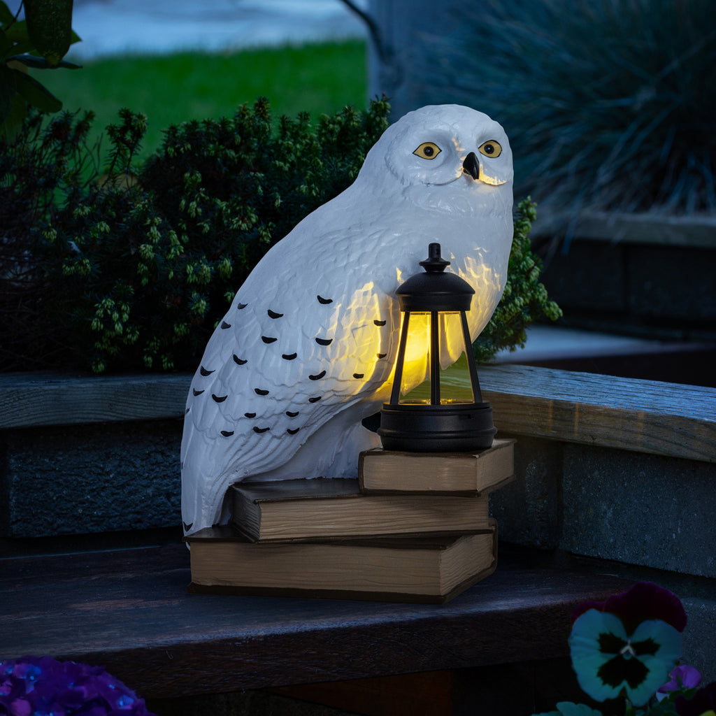 Immagine del prodotto Lampada solare 3D Edvige - Harry Potter