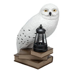 Immagine del prodotto Lampada solare 3D Edvige - Harry Potter